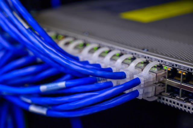 Network cables and a network switch